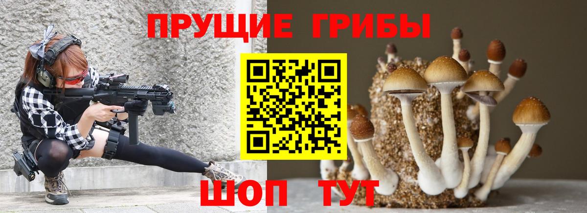 Казань  Псилоцибиновые грибы Psilocybe  Псилоцибиновые грибы Psilocybe  Вход с VPN 