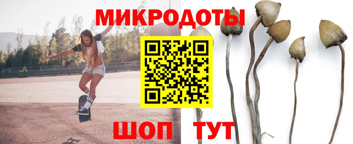 Галлюциногенные грибы Psilocybine cubensis Казань